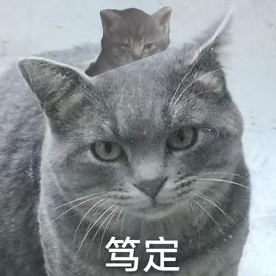 乘风破浪的白头宫女  :disneyprincess006: